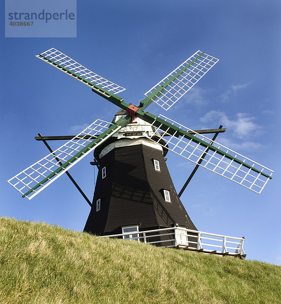 Windmühle auf der Insel Pellworm  Nordsee  Deutschland  Europa