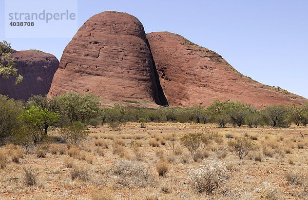 Rotbraune Felskuppen am Rand der Olgas  Kata Tjuta National Park  Northern Territory  Australien