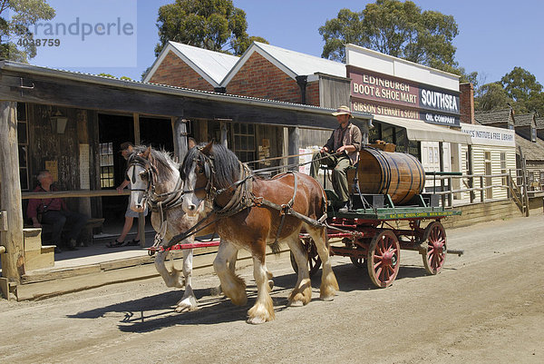 Historisches Pferdegespann mit Wasserfass  Goldgräberstadt Ballarat  Museumsstadt  Victoria  Australien