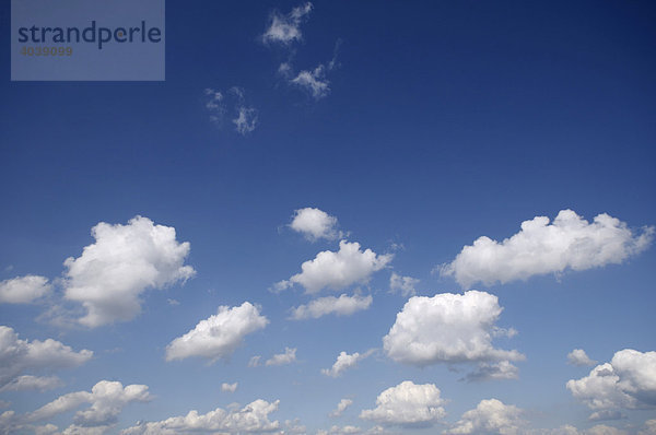 Cumuli am Himmel