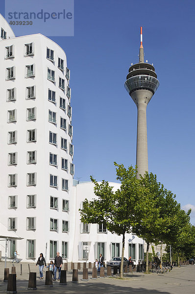 Blick auf den Rheinturm  links Bürohaus Geryhaus auf der Medien Meile  Düsseldorf  Nordrhein-Westfalen  Deutschland  Europa