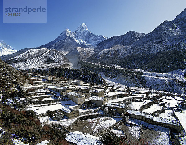 Terassenfelder bei Pangboche  Ama Dablam  6856 m  Nebengipfel 5563 m  Khumbu-Gebiet  Himalaya  Nepal  Südasien