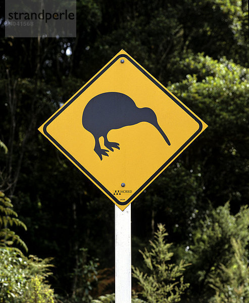 Kiwi-Schild  Schnepfenstrauß  Verkehrszeichen  Neuseeland