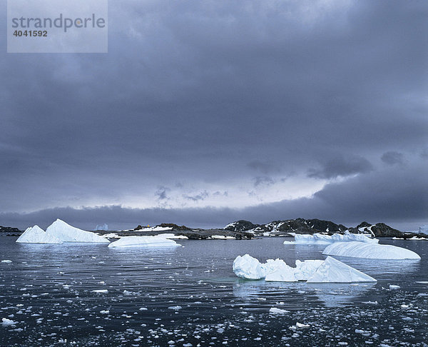 Eisberg  Eisschollen treiben im Eismeer  Antarktis