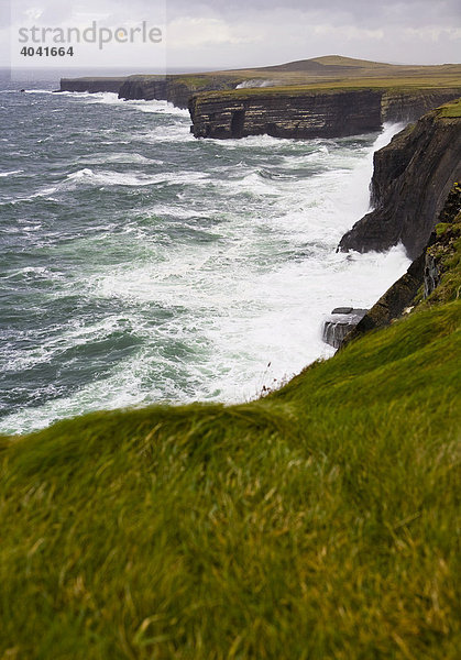 Meeresbrandung an den Klippen des Loop Head  Irland  Europa