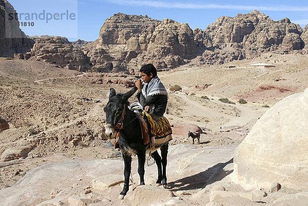 Beduinenjunge auf Esel (Equus asinus asinus)  Petra  Jordanien  Naher Osten  Asien