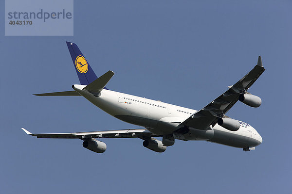 Airbus A340 der Lufthansa  eines von 3 seit Mai 2008 in Düsseldorf stationierten Großraumflugzeugen für Verbindungen nach Kanada und USA  Flughafen Düsseldorf International  Düsseldorf  Nordrhein-Westfalen  Deutschland  Europa