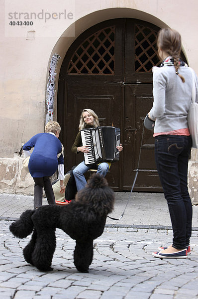 Straßenmusikerin mit Akkordeon und Zuhörer mit Pudel in der Altstadt  Vilnius  Litauen  Baltikum  Nordosteuropa