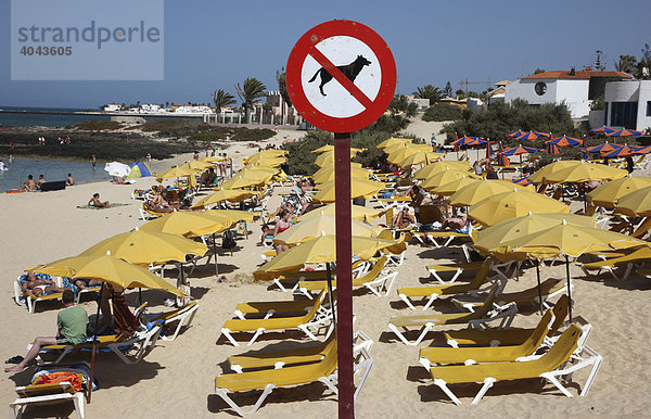 Badestrand mit Hundeverbotsschild in Corralejo  Fuerteventura  Kanarische Inseln  Spanien  Europa