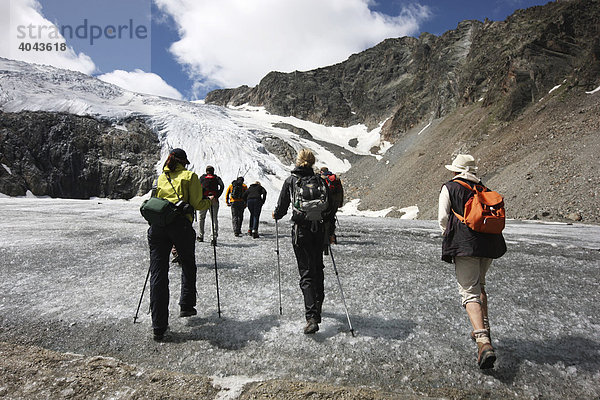 Wandergruppe bei Bergwanderung vom Peiljoch am Sulzenaugletscher entlang  Stubaital  Tirol  Österreich  Europa