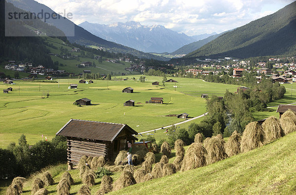 Heuernte bei Neustift  Stubaital  Tirol  Österreich  Europa
