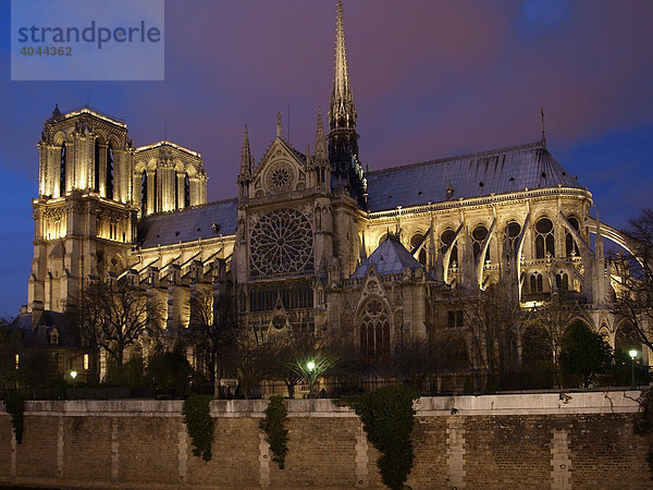 Kathedrale Notre Dame de Paris bei Nacht  Paris  Frankreich  Europa