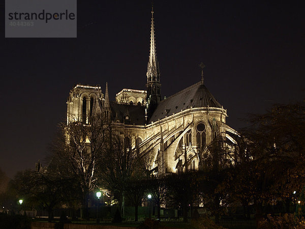 Kathedrale Notre Dame de Paris bei Nacht  Paris  Frankreich  Europa