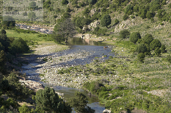 Landschaft im Naturschutzpark von Gennargentu  Sardinien  Italien  Europa