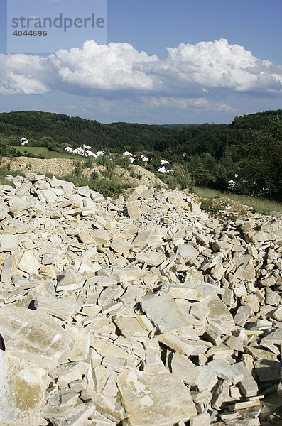 Fossiliensteinbruch bei Schamhaupten  Altmühltal  Bayern  Deutschland  Europa