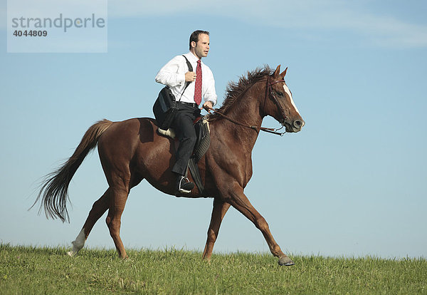 Geschäftsmann  Manager mit Tasche reitet auf einem Pferd