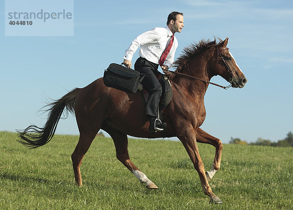 Geschäftsmann  Manager mit Tasche reitet auf einem Pferd