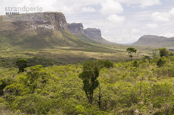 Chapada Diamantina  Nationalpark mit Tafelberglandschaft  Bahia  Brasilien  Südamerika