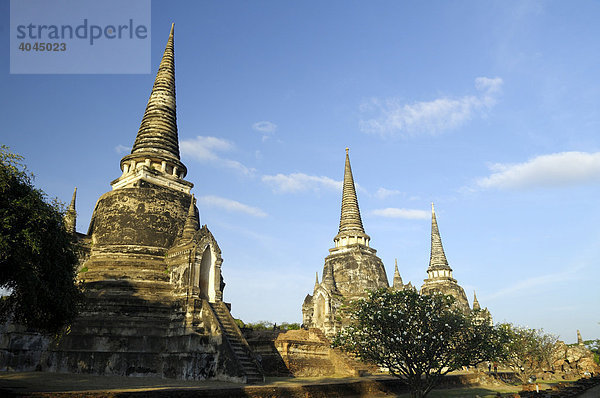 Tempel Wat Phra Si Samphet in der Tempelanlage des Unesco Weltkulturerbe  Sukhotai  Thailand  Asien