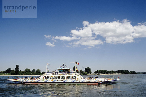 Rheinfähre bei Düsseldorf-Kaiserswerth  Niederrhein  Nordrhein-Westfalen  Deutschland  Europa