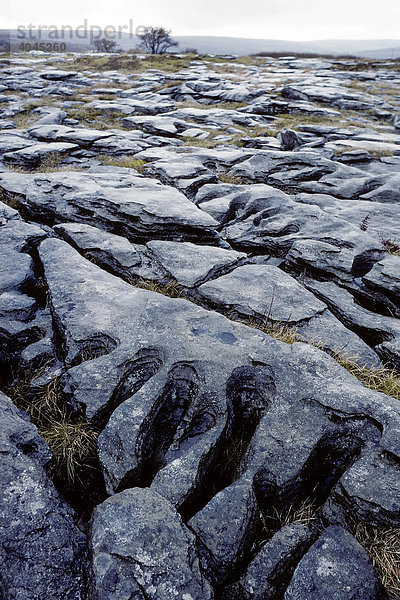Burren  Karstlandschaft  bizarr geformte Kalksteinplatten  County Clare  Irland  Europa