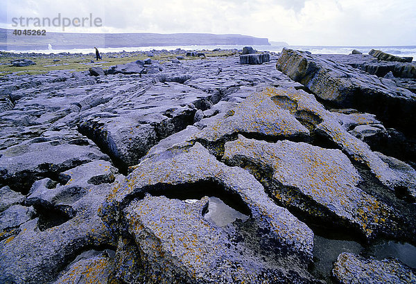 Bizarre Steinplatten an der Atlantikküste bei Galway  Irland  Europa