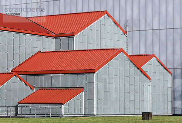 Glashäuser mit roten Wellblechdächern  Schutzgebäude der Großen Thermen  neues Römermuseum  Archäologischer Park Xanten  APX  Niederrhein  Nordrhein-Westfalen  Deutschland