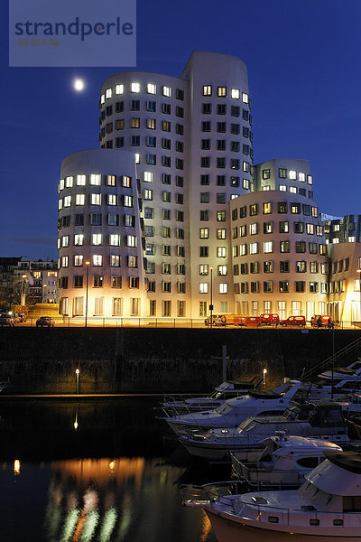 Gehry-Bauten bei Nacht  Medienhafen  Düsseldorf  Rheinland  Nordrhein-Westfalen  Deutschland  Europa