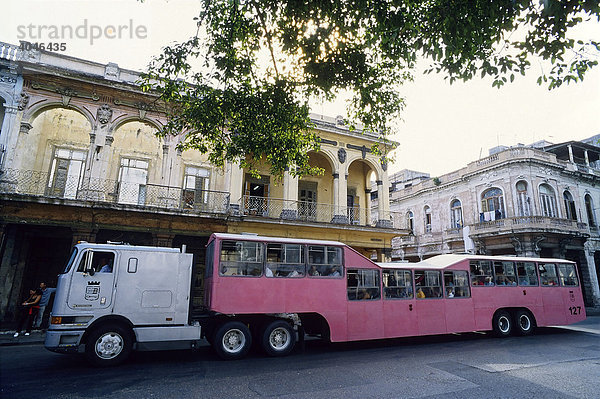Origineller Linienbus  Zugmaschine mit Bus-Anhänger  Elefantenbus  Centro Habana  Havanna  Kuba  Karibik