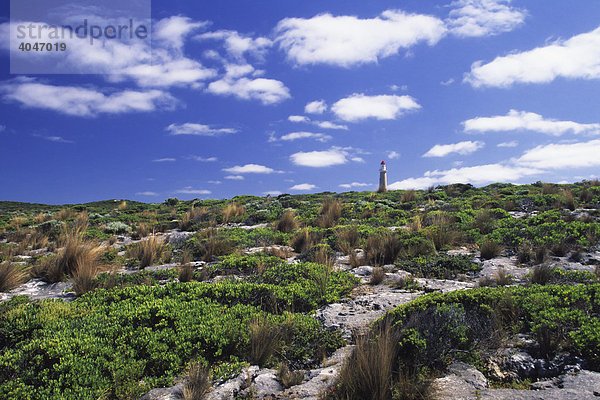 Leuchtturm am Cape du Couedic  Kangaroo Island  South Australia  Australien