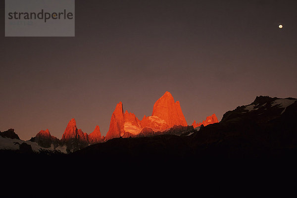 Cerro Fitz Roy bei Sonnenaufgang  Patagonien  Argentinien  Südamerika