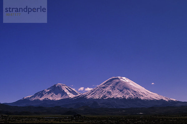 Vulkane Parinacota und Pomerape  Lauca Nationalpark  Chile  Südamerika