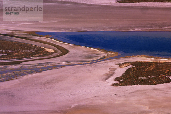 Salar de Quisquiro  Atacama Wüste  Chile  Südamerika