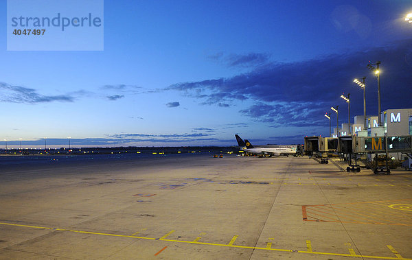 Flughafen Terminal am frühen Morgen  München  Bayern  Deutschland