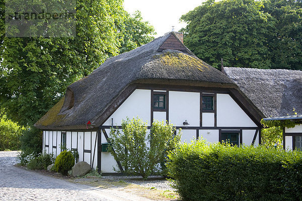 Haus mit Schilfdach in Nardevitz  Rügen  Mecklenburg-Vorpommern  Deutschland  Europa