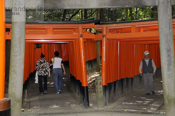 Toriis  Elemente der traditionellen japanischen Architektur  Fushimi Schrein  Kyoto  Japan  Asien