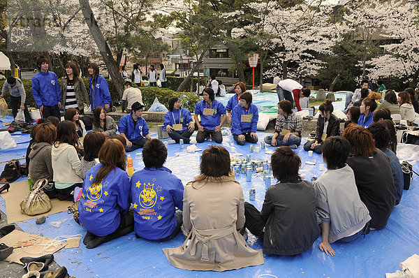 Studentengruppe feiert Kirschblütenfest mit Gesellschaftsspielen unter blühenden Kirschbäumen im Maruyama Park  Kyoto  Japan  Asien