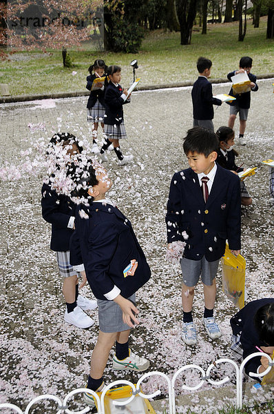 Schüler in Uniform einer Elitegrundschule bewerfen sich mit Kirschblütenblätter beim handlungsorientierten Unterricht im Botanischen Garten in Kyoto  Japan  Asien