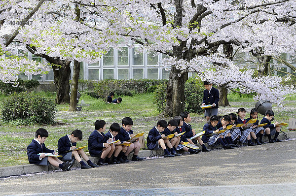 Schüler in Uniform einer Elitegrundschule beim handlungsorientierten Unterricht im Botanischen Garten in Kyoto  Japan  Asien