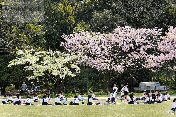 Schüler in Schuluniform einer Eliteschule bei der Mittagspause im Botanischen Garten in Kyoto  Japan  Asien