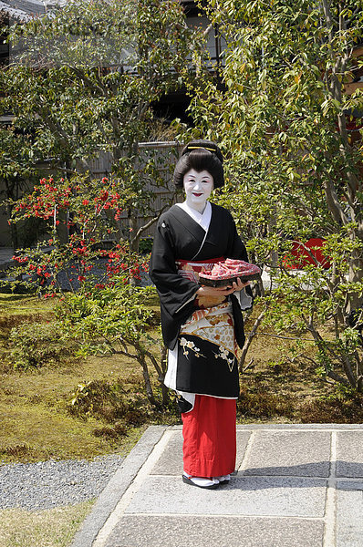 Geisha in einem japanischen Garten in Kyoto  Japan  Asien