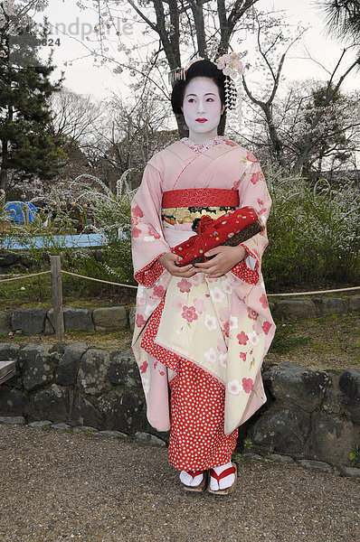 Maiko  Geisha in Ausbildung  im Maruyama Park in Kyoto  Japan  Asien