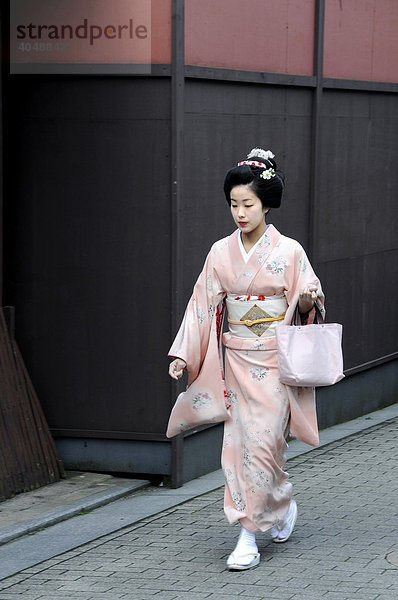 Maiko  Geisha in Ausbildung  im Gion Viertel in Kyoto läuft zur Odori Aufführung  Japan  Asien