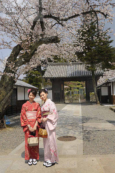 Japanerinnen im Kimono in einem Tempel  Kyoto  Japan  Asien