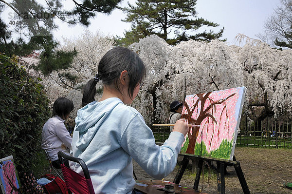 Mädchen malt Kirschblüten während des Kirschblütenfestes in einer Hobbymalergruppe im Park des kaiserlichen Palastes in Kyoto  Japan  Asien