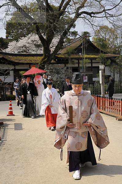 Brautpaar auf dem Weg zur shintoistischen Andacht mit Miko  Tempeldienerin  und shintoisischem Priester im Kamigamo Schrein  Kyoto  Japan  Asien