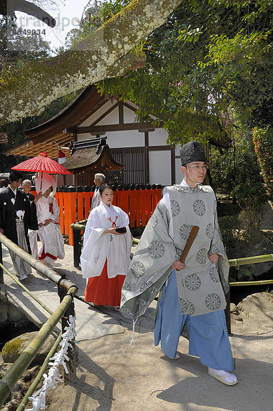 Brautpaar auf dem Weg zur shintoistischen Andacht mit Miko  Tempeldienerin  und shintoisischem Priester im Kamigamo Schrein  Kyoto  Japan  Asien