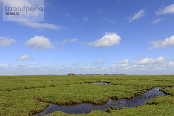 Warft auf der Hallig Langeneß  Langeneß  Schleswig-Holstein  Deutschland  Europa