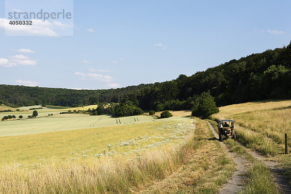 Kulturlandschaft bei Nüdlingen  Rhön  Unterfranken  Bayern  Deutschland  Europa