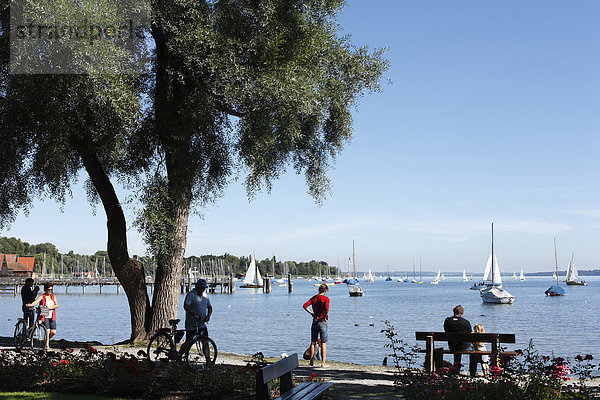 Ammersee in Dießen  Pfaffenwinkel  Fünfseenland  Oberbayern  Bayern  Deutschland  Europa